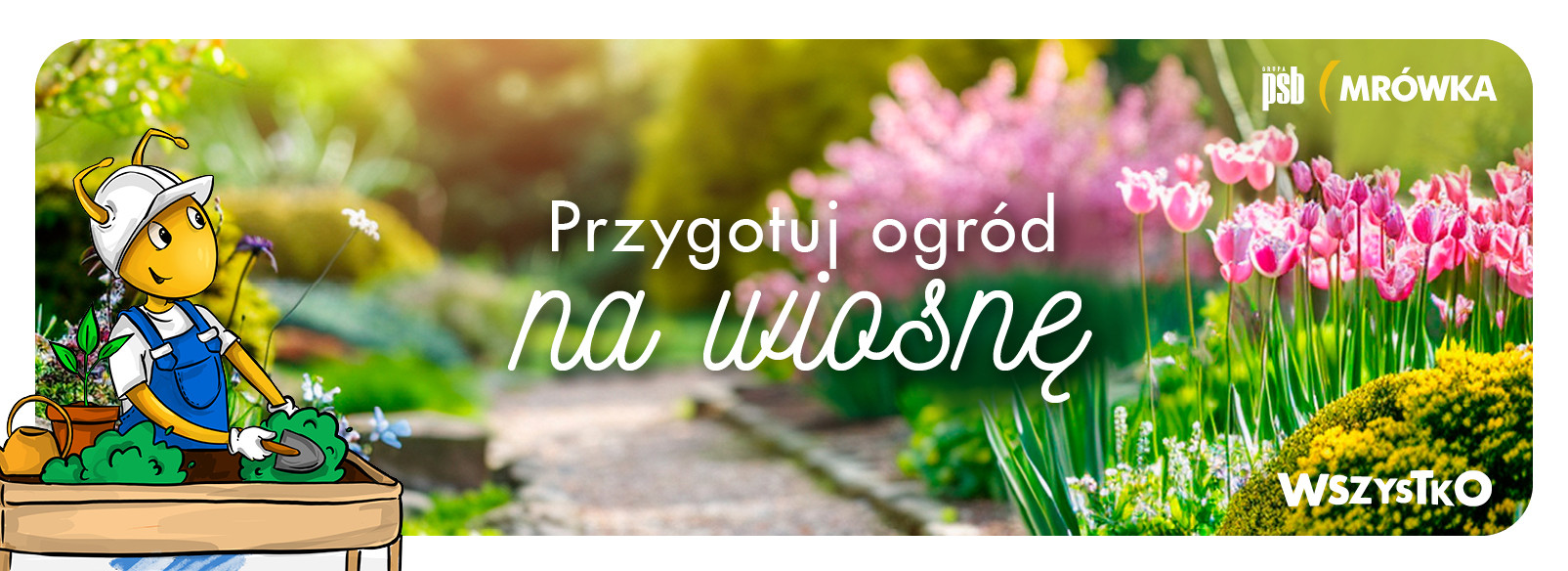 Grupa PSB mrowka Namysłów