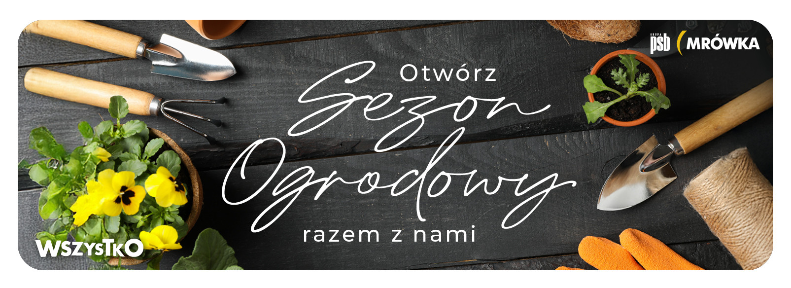 Grupa PSB mrowka Namysłów