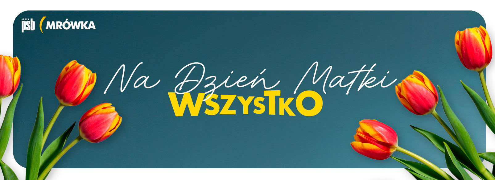 Grupa PSB mrowka Namysłów